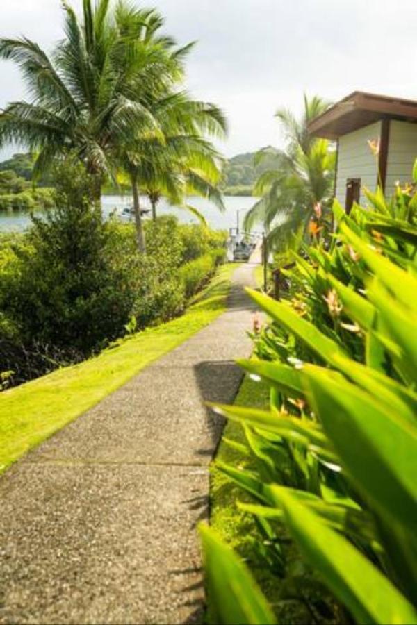Bed and Breakfast Casa Marlin à Bocas del Toro Extérieur photo